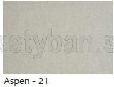 Aspen 21