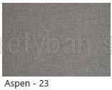 Aspen 23