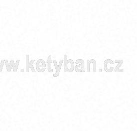 Biela arctic