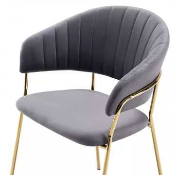 jed�lensk� kreslo DASMIN TYP 1- �edohned�