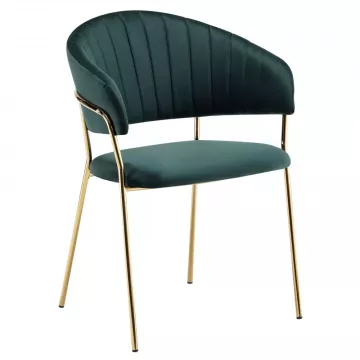 jed�lensk� kreslo DASMIN TYP 1- zelen�