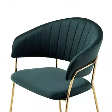 jed�lensk� kreslo DASMIN TYP 1- zelen�