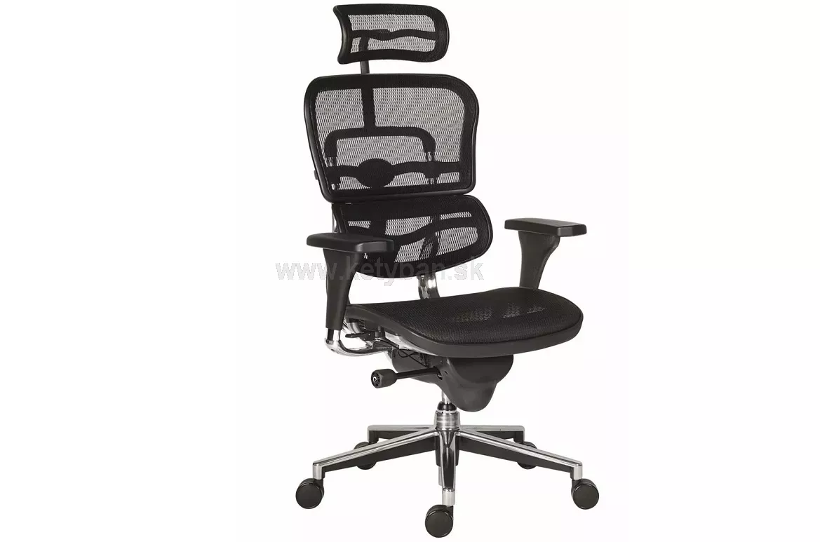 Luxusná kancelárska stolička Ergohuman