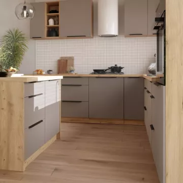 Kuchy�a Frisbo