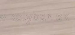 Son
