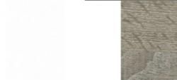 Biela arctic/dub Trffel