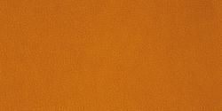 Carabu arancio 94