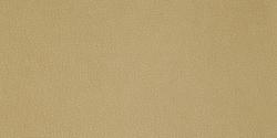 Carabu beige 66