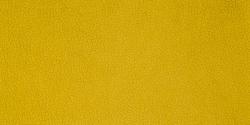 Carabu giallo 131