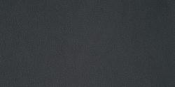 Carabu grigio 110