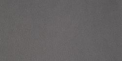 Carabu grigio 77