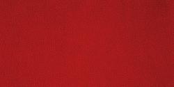 Carabu rosso 134