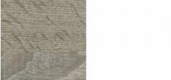 Dub Trffel/biela arctic