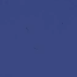 Velvet modr�