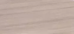Son