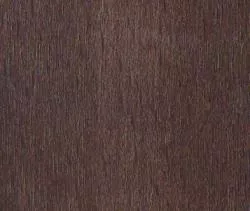 Buk - Walnut